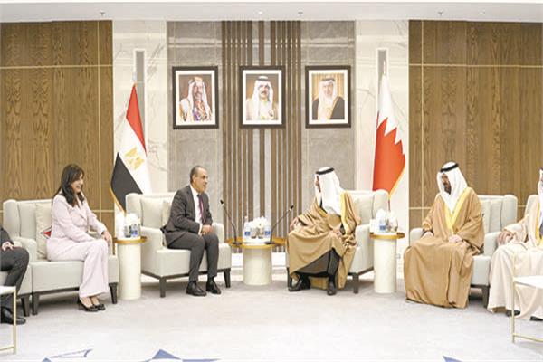 جانب من لقاء وزير الخارجية مع ملك البحرين فى المنامة