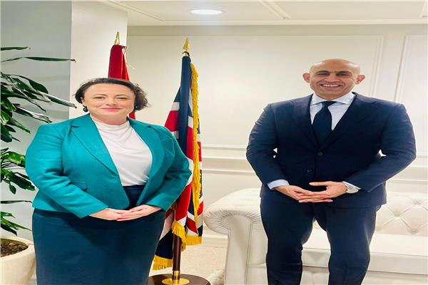لقاء وزيري التعليم المصري والبريطانية