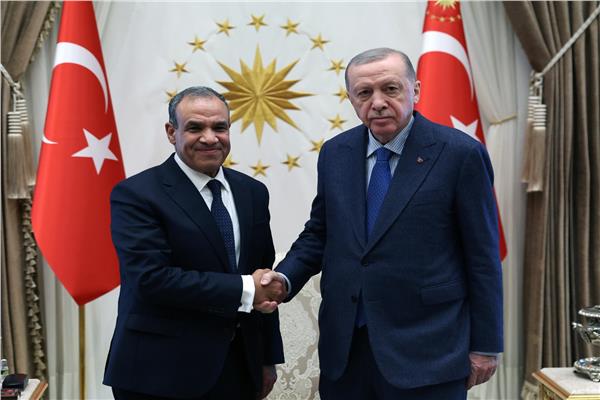 بدر عبد العاطي وزير الخارجية والرئيس التركي رجب طيب إردوغان