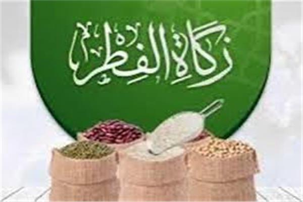 صورة ارشيفيه