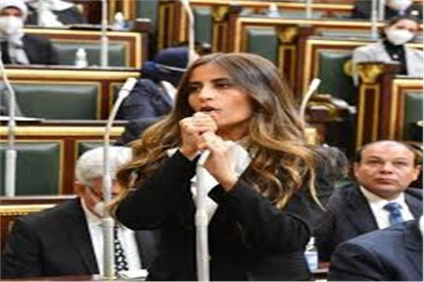 النائبة إيلاريا سمير حارص عضو لجنة العلاقات الخارجية بمجلس النواب 