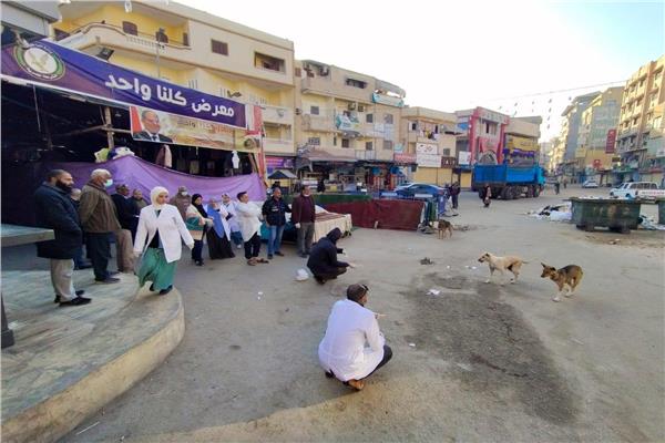 تحصين الكلاب الضالة في شمال سيناء