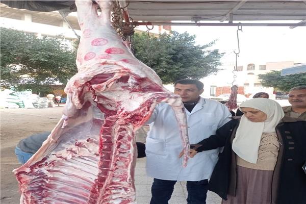 جانب من الحملات التموينية 