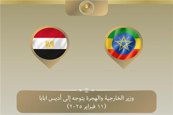 د. بدر عبد العاطى