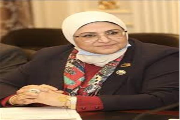 النائبة الدكتورة هناء سرور