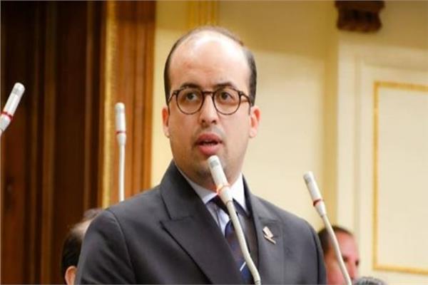 النائب الدكتور خالد بدوي، عضو مجلس النواب
