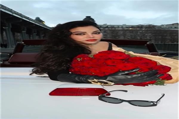 هيفاء وهبي