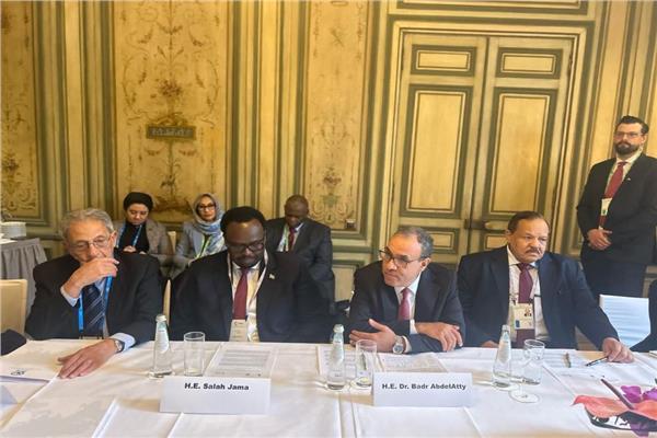 وزير الخارجية يناقش مستقبل عمليات السلام في أفريقيا