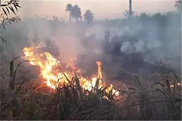 حريق بزراعات القصب بسوهاج