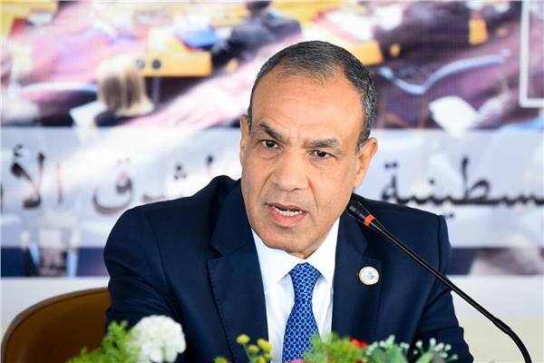 وزير الخارجيةى والهجرة د. بدر عبدالعاطي - صورة أرشيفية