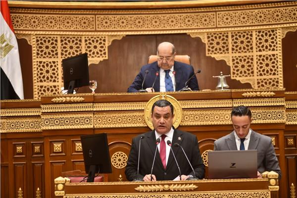 مجلس الشيوخ برئاسة المستشار عبد الوهاب عبد الرازق خلال المناقشة 