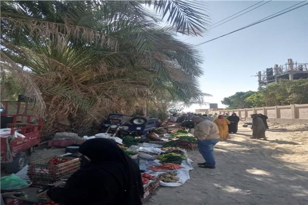سوق اليوم الواحد بقرية المدامود