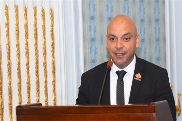 النائب محمود القط، عضو مجلس الشيوخ عن تنسيقية شباب الأحزاب والسياسيين
