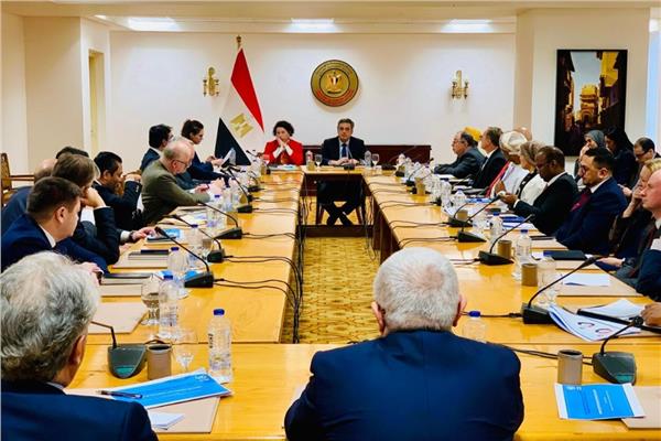 جهود دبلوماسية ضخمه على كافة المستويات