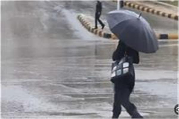 صورة موضوعية شتاء