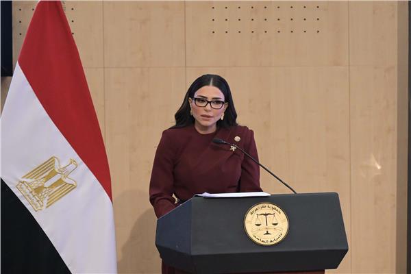 الدكتورة داليا محمود رئيس النيابة بالمكتب الفني