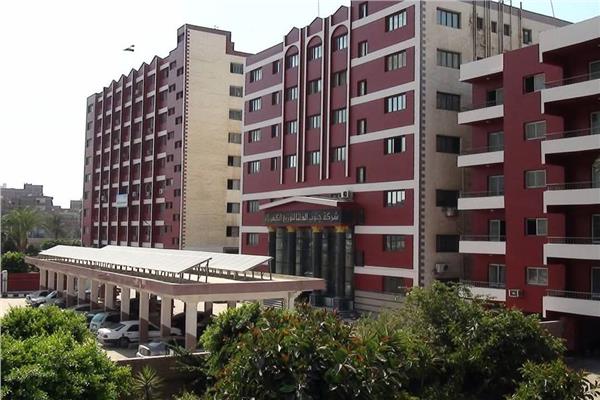 شركة جنوب الدلتا لتوزيع الكهرباء