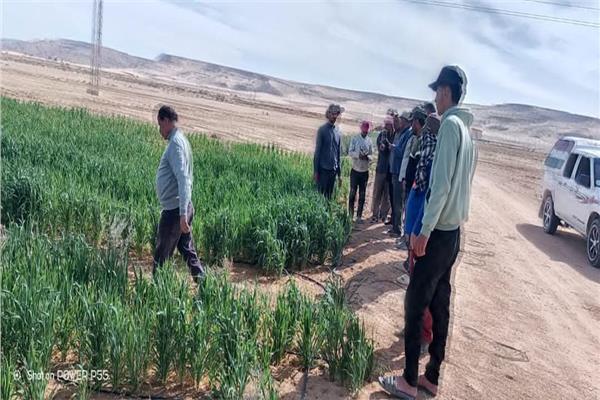  فريق من الباحثين المتخصصين بمركز بحوث الصحراء