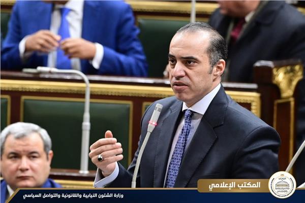  المستشار محمود فوزي، وزير الشئون النيابية والقانونية