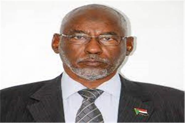 وزير الاتصالات السوداني عادل حسن