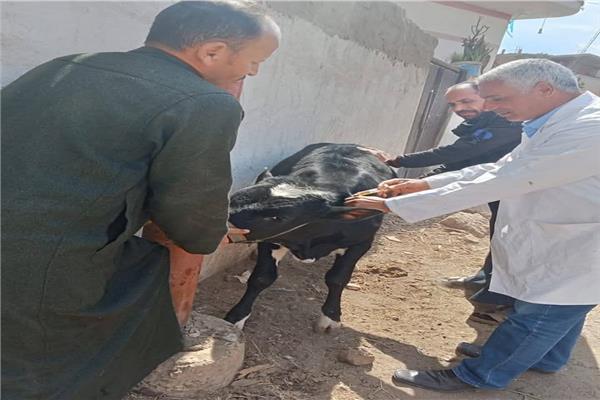 قافلة بيطرية 