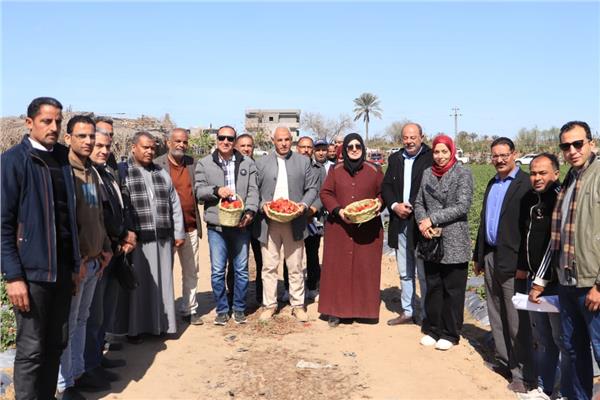 حملات الرقابة على الأسواق والمحال التجارية