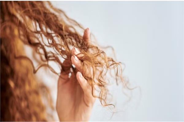  أطعمة تساعد في نمو الشعر وكثافته