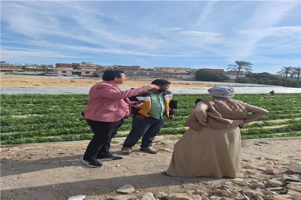 استرد قطع أرض مباني وفضاء أملاك الدولة 