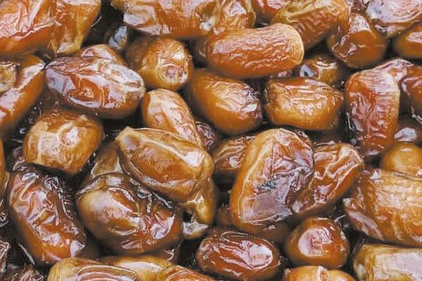 بلح المجدول