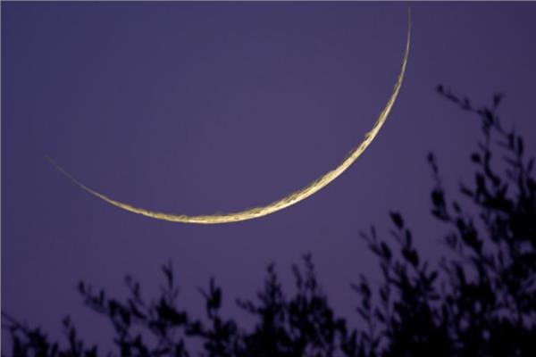صورة مووضعية