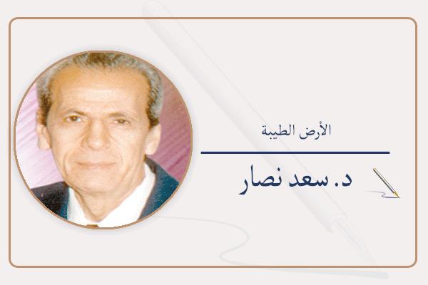 د. سعد نصار