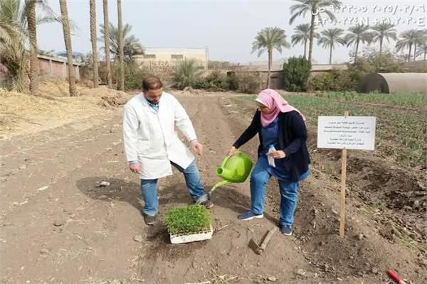  تجربة حقلية جديدة لتقييم المبيدات الحيوية
