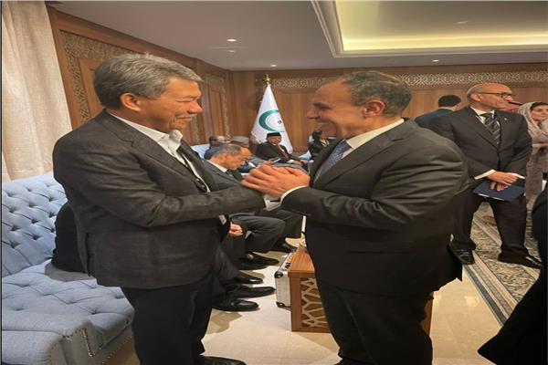 لقاءات جانبية لوزير الخارجية والهجرة 