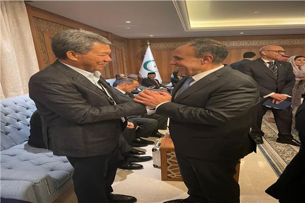 د. بدر عبد العاطى وزير الخارجية والهجرة 