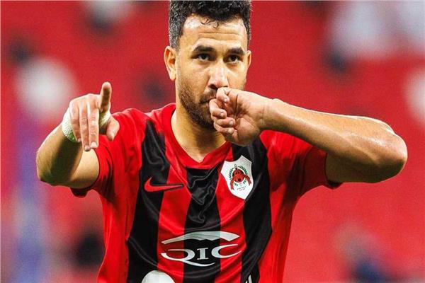  محمود حسن تريزيجه