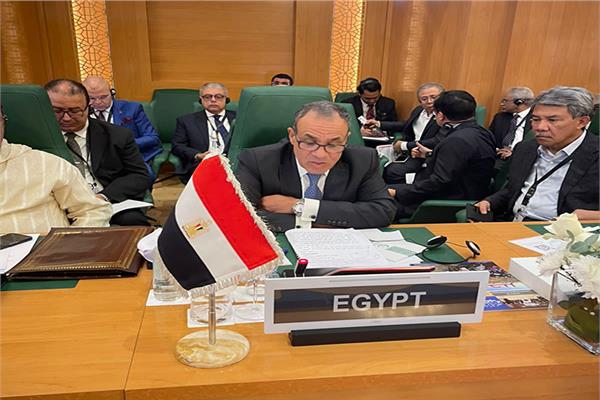 د. بدر عبد العاطي وزير الخارجية والهجرة