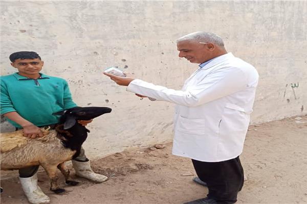 قافلة بيطرية من جامعة الزقازيق تعالج 2293حيوان وطائر بقرية بالشرقية