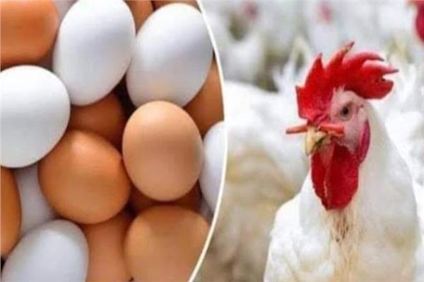 أسعار الخضروات والأسماك و الدواجن