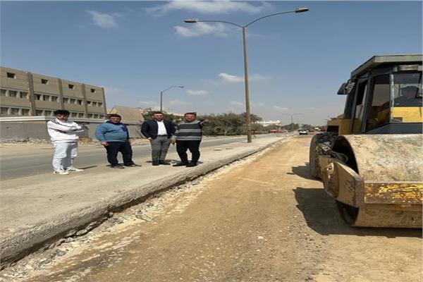 صورة موضوعية