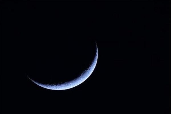 صورة موضوعية