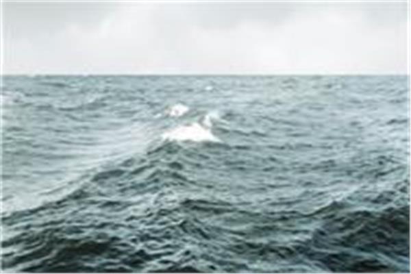 صورة موضوعية