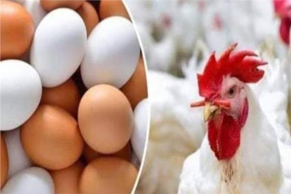  أسعار السلع و المواد الغذائية