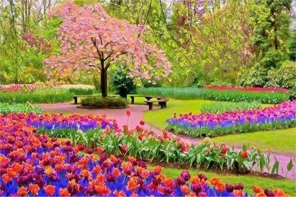 فصل الربيع - صورة موضوعية