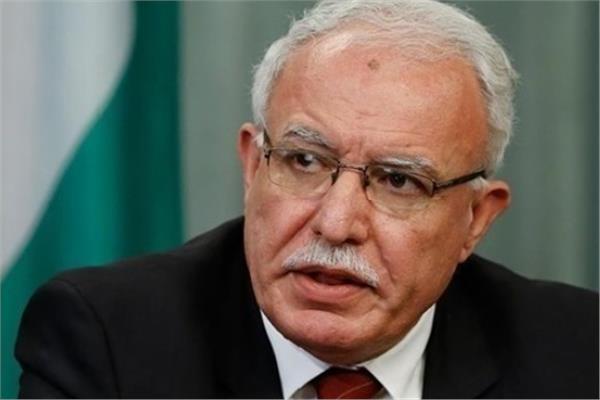 مندوب فلسطين لدى مجلس الأمن 