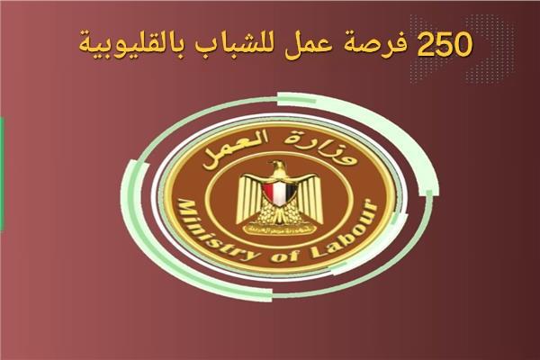 وظيفة جديدة للشباب بالقليوبية