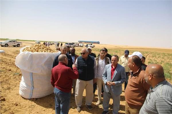 اللواء دكتور محمد الزملوط محافظ الوادي الجديد
