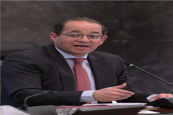 أحمد كجوك، وزير المالية