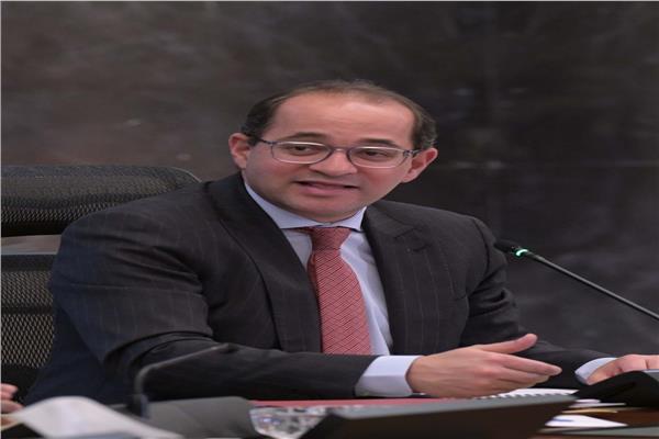 أحمد كجوك، وزير المالية