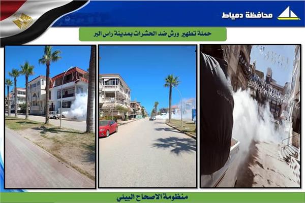 حملات لمكافحة الحشرات
