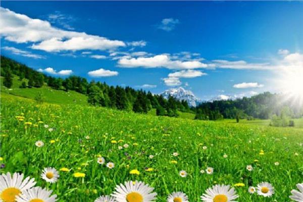  طقس معتدل اليوم على القاهرة الكبرى - صورة تعبيرية